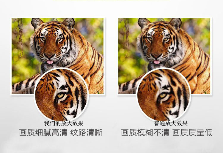 1486197857723717.jpg 1486197857723717.jpg