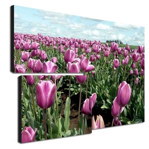 1568971553767420.jpg 5aa1fcd3d869e.jpg