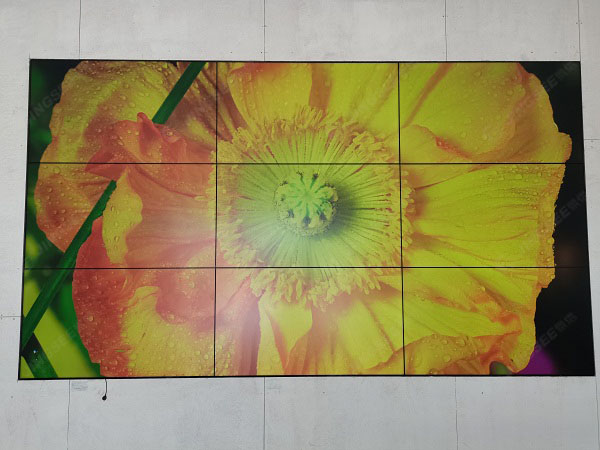 1632737426262381.jpg 案例水印2.jpg