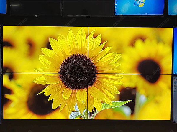 1697611865866472.jpg 水印2.jpg