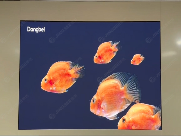 1716971942596745.jpg 案例水印2.jpg