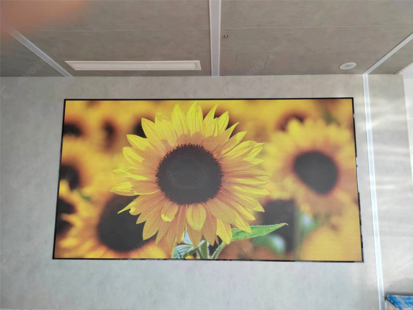 1720677389173874.jpg 案例水印1.jpg