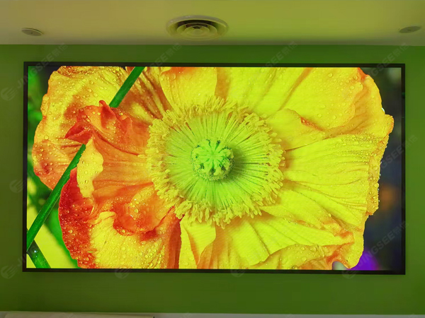 1735112823782800.jpg 案例水印2.jpg